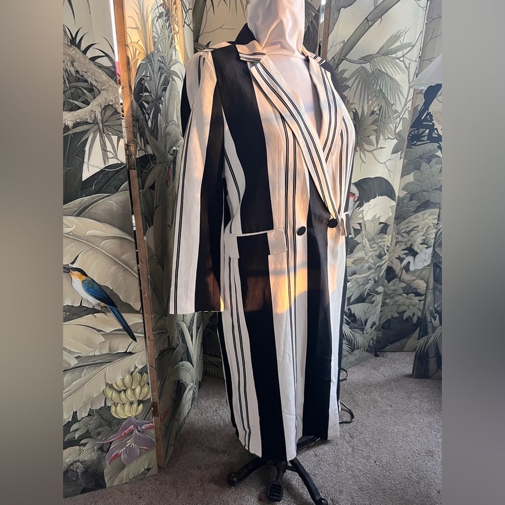 Zara Monochrome Striped Blazer